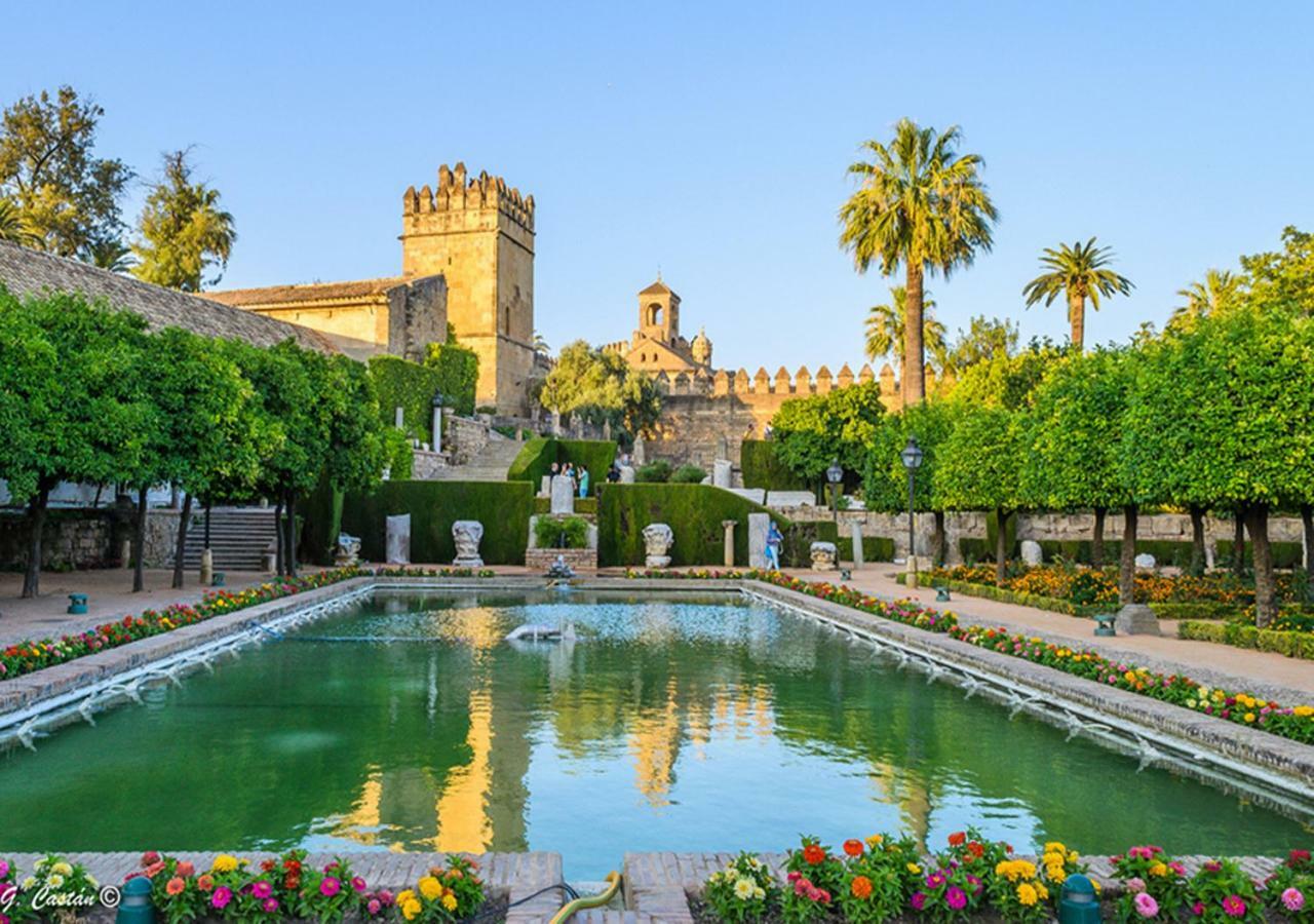 Апартаменты *New* Cerca De La Mezquita Кордова Экстерьер фото